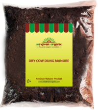Dry cow dung manure