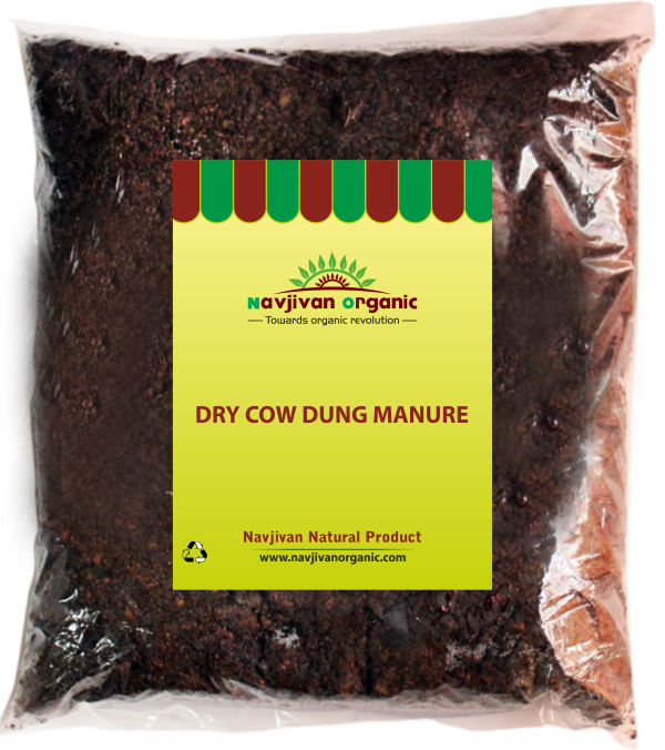 Dry cow dung manure