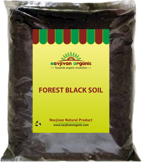 Forest black soil